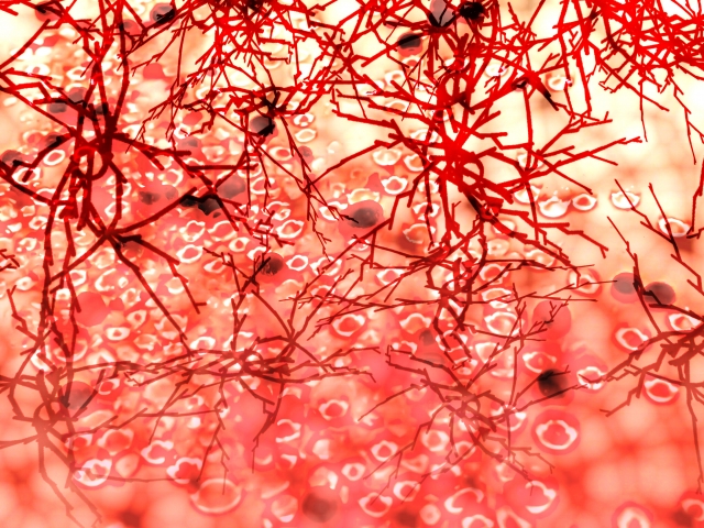 血液と血管のイメージ